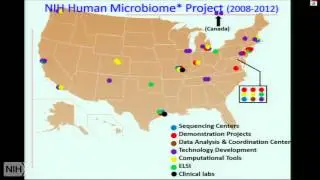 Functional dynamics of the gut microbiome in health and disease