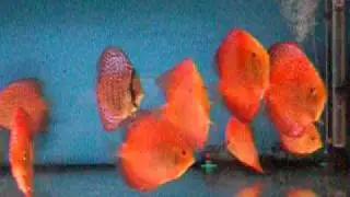 CIMG0212