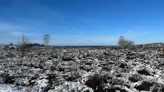 Rondje Sallandse heuvelrug