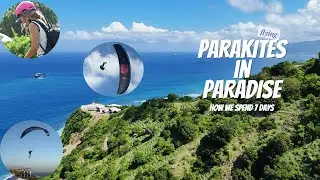 PARAKITES IN PARADISE