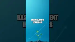 Smart Starts Everyday Money Wins for Beginners