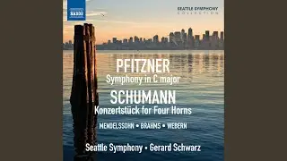 Langsamer Satz (Arr. G. Schwarz for string orchestra)