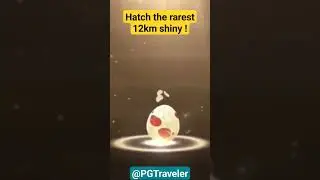 PGTraveler - Hatch the rarest 12km Shiny ! ✨️ #PokemonGo #12km #Egg #Hatching @pgtraveler #Lucky !