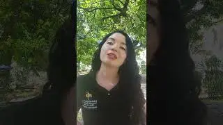 Experiencia de aprendizaje Distancia 4.0 con agentes conversacionales M&iacute;a y Leo