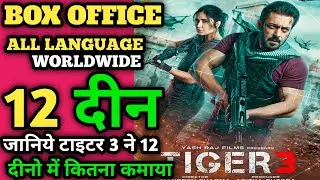 Tiger 3 Box Office Collection 😳| Tiger 3 Day 11 Collection | Tiger 3 Day 12 Collection | Salman Khan