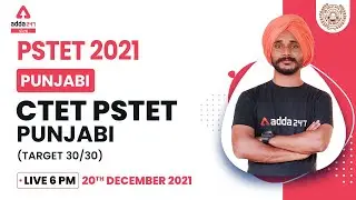 Punjab PSTET 2021 | PSTET Punjabi Grammar | CTET PSTET  Punjabi TARGET 30/30