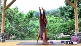 Forearm Stand