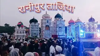 रानीपुर ताजिया Ranipur Tajiya #Ranipur_Tajiya #Ranipur_ke_tajiya #tajiya_muharram_jharni_song_2024