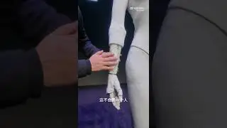 The advancement of the Chinese robot technology is astonishing 