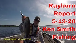 Sam Rayburn Bass Fishing Report 5 19 20