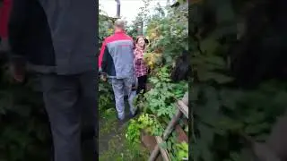 1 октября 2023 г.
