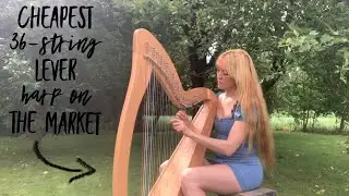 Irish Music Soundcheck: I tried the cheapest 36-string harp on the market - Gear4music 800 euro harp