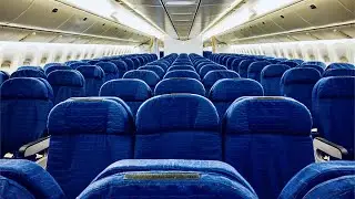The Reason Why Most Plane Seats Are Blue - Color Psychology: