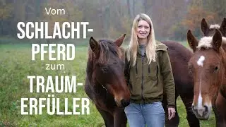 😍Darf ich vorstellen? Vom Schlachtpferd zum Traumerfüller - Mein neues Kapitel​🐎​