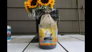 How to Make Worm Tea