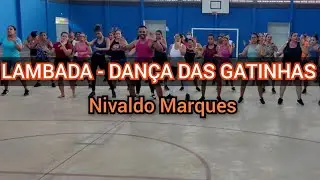 DANÇA DAS GATINHAS - NIVALDO MARQUES #dancinha #foryou #lambada