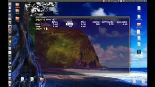 Quicky check your RAM usage [Linux Terminal]
