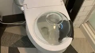 Bidet Perfection? Alpha Bidet&rsquo;s Newest Toilet Seat First Look