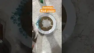Black pepper-Soap magic|| Science has its own magic|| Experiment|| little sunshine