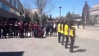 Omega Phi Beta