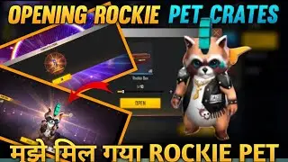 #shorts OPENING ROCKIE PET CRATES||CAN I GET PERMANENT ROCKIE PET||ONE SPIN TRICK #shorts