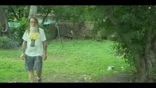 AHBPA Bee Removal