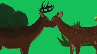 MAX LEVEL in Move Animals! - Gameplay Android,ios (Levels 9-10)