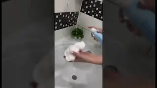 Пена мусс для душа Blue Point