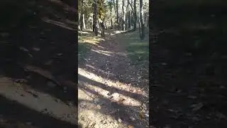 WHICH SLOBBER SISTER IS FASTER?