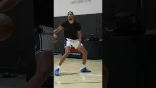 Tyrese Haliburton - NBA Game Skills Workout