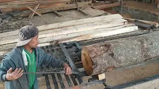 Saw Mill in Mokokchung, Nagaland/ Tree Trunk to wood blank.
