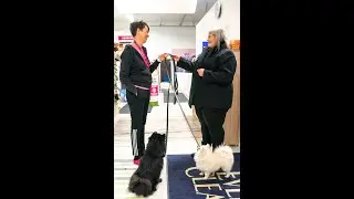 Lemmikkihotelli Doggies & Kittieksen asiakastyytyväisyys video
