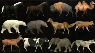Animals running video viral // elephant background video // animals zoo stamped video viral //