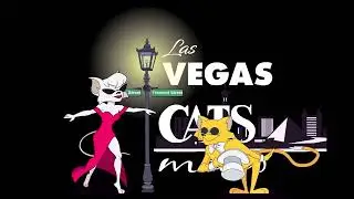 Cats Meow Karaoke Las Vegas Animated
