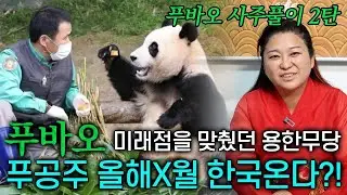 푸바오의 미래를 소름돋게 맞췄던 용한 무당의 푸바오 신점2탄! x월에 한국으로 돌아온다고?! 돌아와줘 푸바오 ㅠㅠ