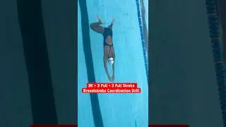 3K + 3 Pull + 3 Full Stroke Breaststroke Coordination Drill #swimming #swim #shorts
