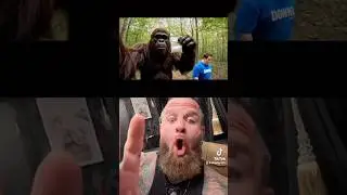 BIGFOOT & DOWN-Z