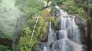 LA MALDICI&Oacute;N DE EL HOMBRE  Pra. Luc&iacute;a Valdez C.22 Conociendo a Dios a trav&eacute;s de la Biblia