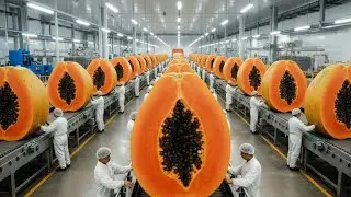 Inside a Modern Papaya Factory: From the Farm to Dessert (Full Process)