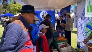 Proyecto ANDESPAPA: Universidad Central del Ecuador present&oacute; avances en el XXX Congreso de ALAP 2025