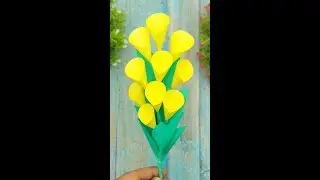 Easy Paper Flower Crafts to Brighten Your Home | Simple Ways to Craft Stunning Flowers from Scratch