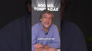 O BRASIL QUE FUNCIONA - agroneg&oacute;cio brasileiro domina o gergelim!
