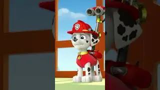 Marshall + Water cannon = 💦 🐶 #PAWPatrol #Shorts