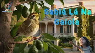 Sabiá Lá Na Gaiola Musica infantil  #musica #paracrianças