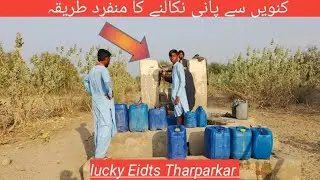 People Of Desert Thar Fetch Water From well through Donkey. #well #water #donkey
