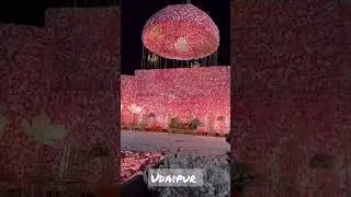 udaipur top wedding decorations event management company booking decor ideas