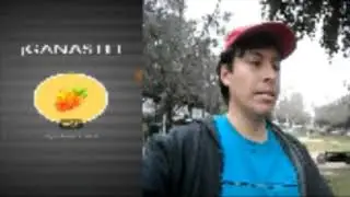 incursiones de falinks y dos shiny