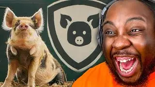 Pig Racing is the BEST SPORT EVER!!!