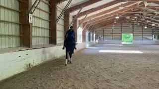 Tango - May 2024 - Leslie Morse Clinic - Training Level