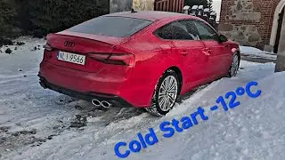 Cold Start Audi S5 TDI 2020 -12&deg;C